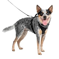Petsafe harnais chien d'occasion  Livré partout en France
