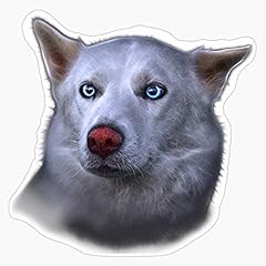 White siberian husky for sale  Delivered anywhere in USA 
