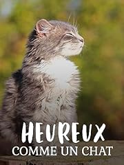 Heureux chat d'occasion  Livré partout en France