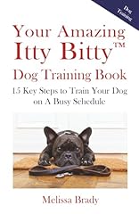 Amazing itty bitty for sale  Delivered anywhere in USA 
