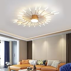 Jaymp ceiling light for sale  Delivered anywhere in USA 