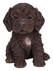 chocolate cockapoo puppys for sale  Delivered anywhere in UK