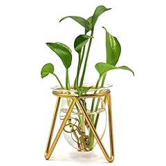 Plant terrarium metal for sale  Delivered anywhere in USA 