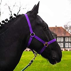 Mini shetty halfter gebraucht kaufen  Wird an jeden Ort in Deutschland
