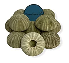 Nessastores green sea for sale  Delivered anywhere in UK