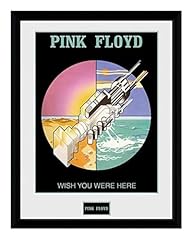 Eye pink floyd usato  Spedito ovunque in Italia 