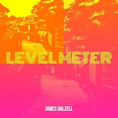 Level meter gebraucht kaufen  Wird an jeden Ort in Deutschland
