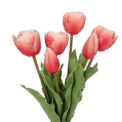 Airse tulpen tulpenknospen gebraucht kaufen  Wird an jeden Ort in Deutschland