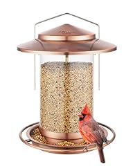 Iborn metal bird for sale  Delivered anywhere in USA 