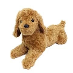 Winadigoo poodle dog for sale  Delivered anywhere in USA 