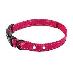 Dog nylon collar for sale  Delivered anywhere in USA 