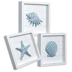 Tideandtales blue seashells for sale  Delivered anywhere in USA 
