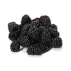 Organic blackberries oz for sale  Delivered anywhere in USA 