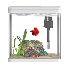Gallon glass betta for sale  Delivered anywhere in USA 