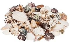 Nadeco muschelmix large gebraucht kaufen  Wird an jeden Ort in Deutschland