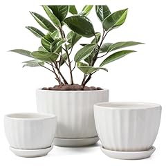 Sthie ceramic plant for sale  Delivered anywhere in USA 