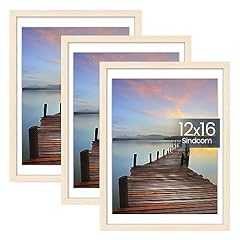 Sindcom 12x16 picture for sale  Delivered anywhere in USA 