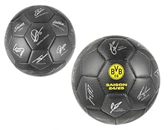 Borussia dortmund miniball gebraucht kaufen  Wird an jeden Ort in Deutschland