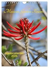 Mexican garden flowers gebraucht kaufen  Wird an jeden Ort in Deutschland