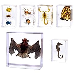 Pcs insect resin for sale  Delivered anywhere in USA 