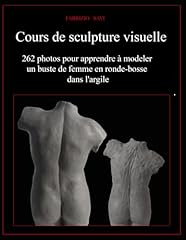 Cours sculpture visuelle d'occasion  Livré partout en France