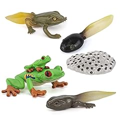 Fantarea frog animal for sale  Delivered anywhere in USA 