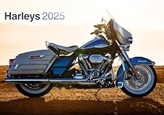 Harleys 2025 harley gebraucht kaufen  Wird an jeden Ort in Deutschland