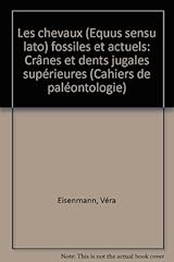 Chevaux fossiles actuels d'occasion  Livré partout en France