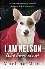 Nelson happened next for sale  Delivered anywhere in UK