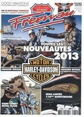 Harley davidson 2013 d'occasion  Livré partout en France