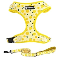 Dog harness leash for sale  Delivered anywhere in USA 