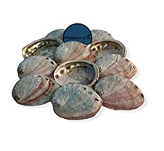 Nessastores red abalone for sale  Delivered anywhere in Canada