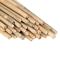 Gaginang plant stakes for sale  Delivered anywhere in USA 