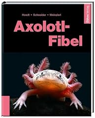 Axolotl fibel exot gebraucht kaufen  Wird an jeden Ort in Deutschland