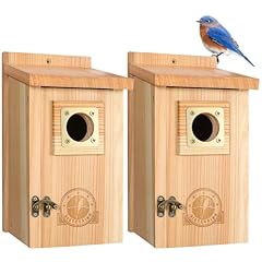 Sisterbird pack bird for sale  Delivered anywhere in USA 