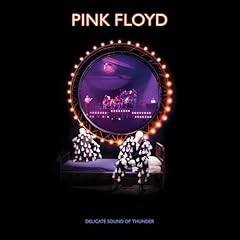 Delicate sound thunder usato  Spedito ovunque in Italia 
