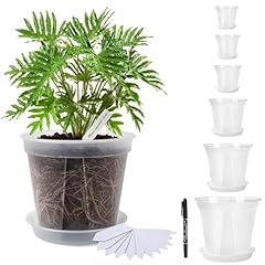 Bgoxmta transparent plants for sale  Delivered anywhere in USA 