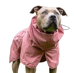 Spark paws dog for sale  Delivered anywhere in USA 