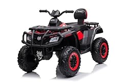 Quad raptor iii usato  Spedito ovunque in Italia 