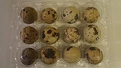 Large fertile hatching for sale  Delivered anywhere in USA 