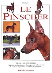 Pinscher d'occasion  Livré partout en France