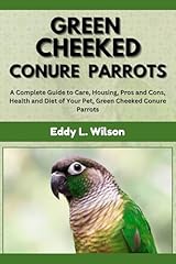 Green cheeked conure for sale  Delivered anywhere in UK