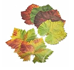 Parchment paper leaves for sale  Delivered anywhere in USA 