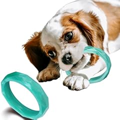 Sweet paws puppy for sale  Delivered anywhere in USA 
