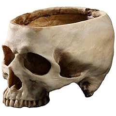 Qivange skull resin for sale  Delivered anywhere in UK