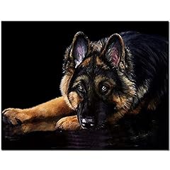 Diamond painting kits for sale  Delivered anywhere in UK