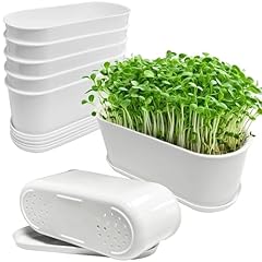 Torfican set window for sale  Delivered anywhere in USA 