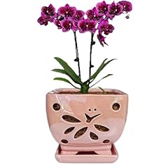 Grdthzey orchid pots for sale  Delivered anywhere in USA 