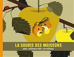 Souris moissons minuscule d'occasion  Livré partout en France