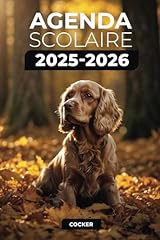 Agenda scolaire 2025 d'occasion  Livré partout en France